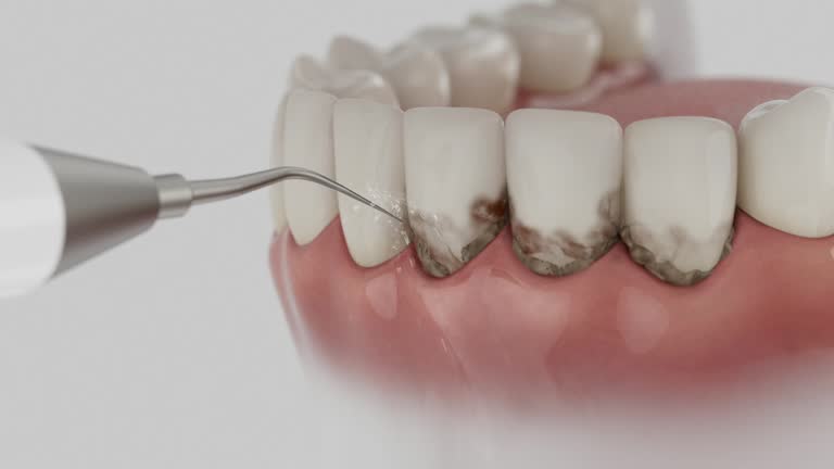 Reliable Dental contractor in Quail Creek, TX by Dentist Open Now